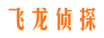 临邑市私家侦探